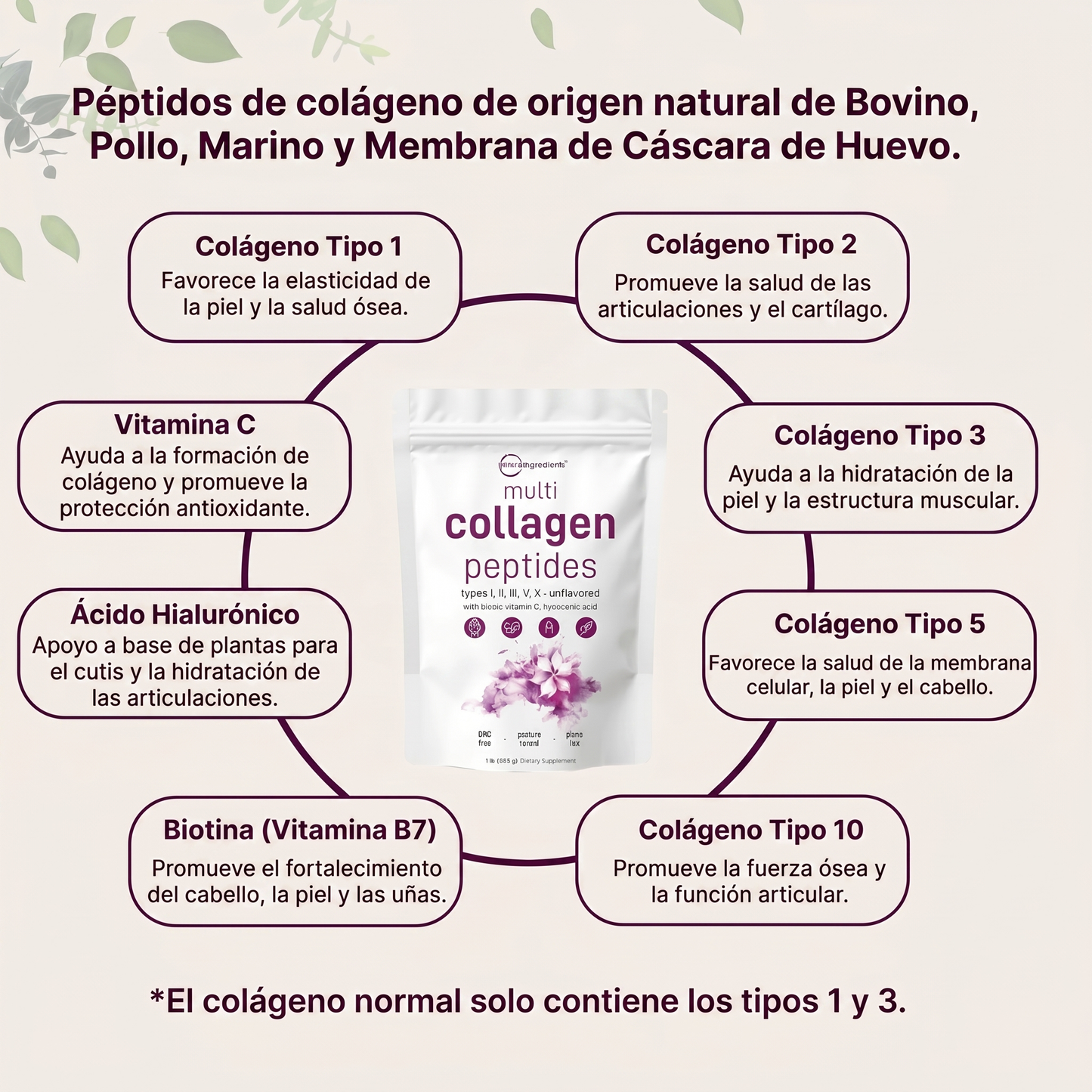 Péptidos de Colágeno Múltiple en Polvo 454 g